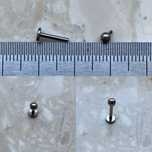 Unisex Labret 8 mm kółko Tytan piercing 16 G