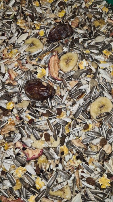 Mieszanka dla papug dużych (bez pszenicy, sorga)