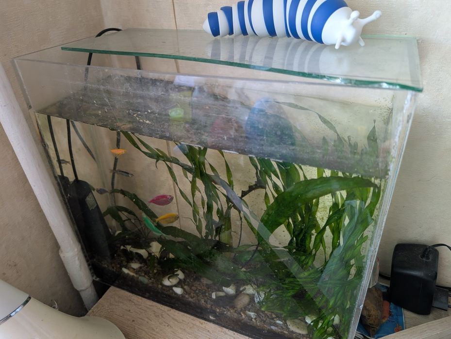 Акваріум акриловий 22л з рибами та рослинами 40х35х15см