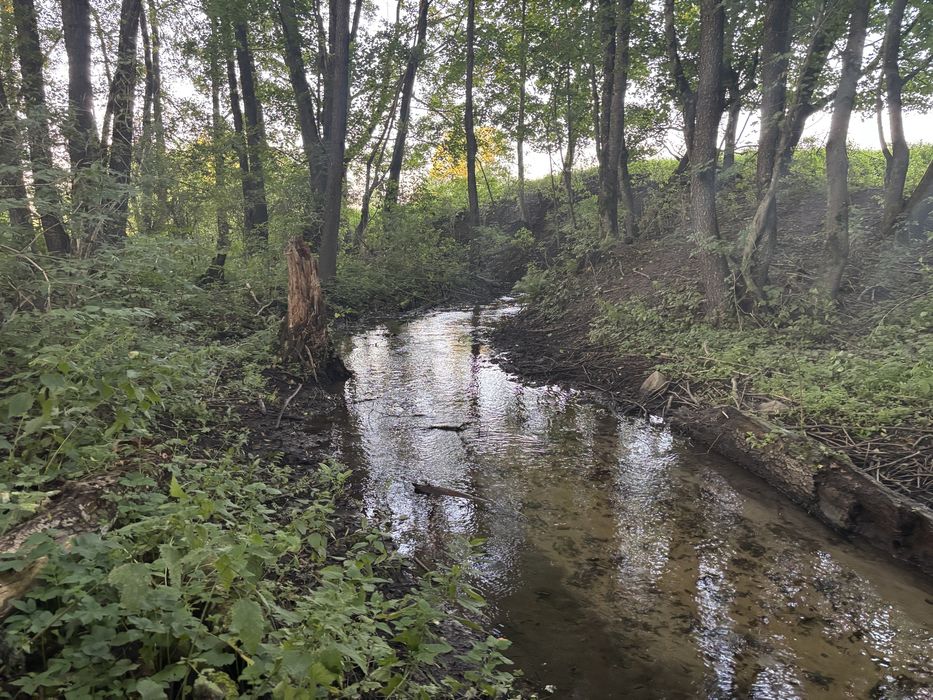Dzialka z linią brzegową rzeczki