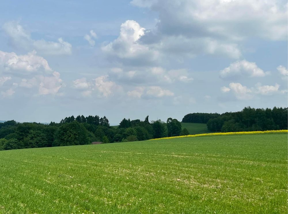 Sprzedam dzialkę Nowa Wieś