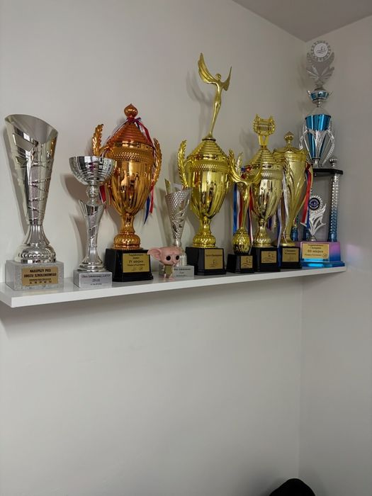 Doberman Szczenię Sprzedam