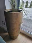 Donica 62cm wysokości
