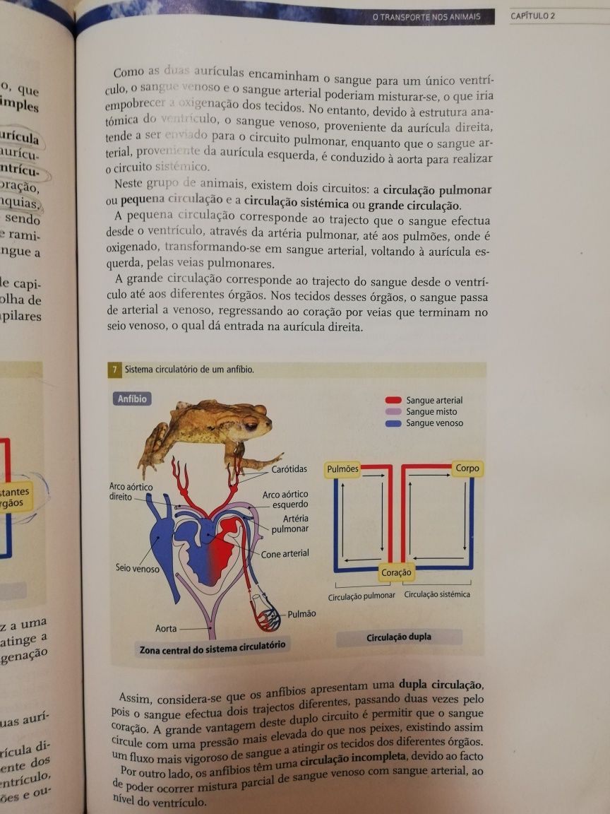 Manual geologia e biologia +Caderno de Ativid 10 e 11ano