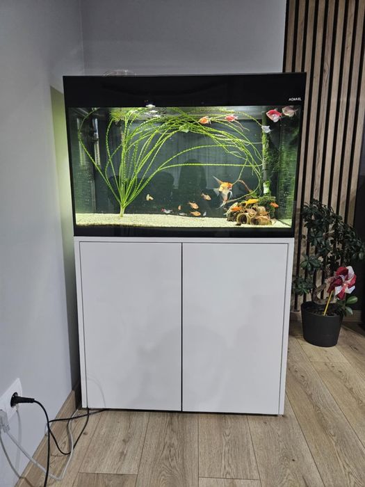 Akwarium aquael glossy 120 litrow