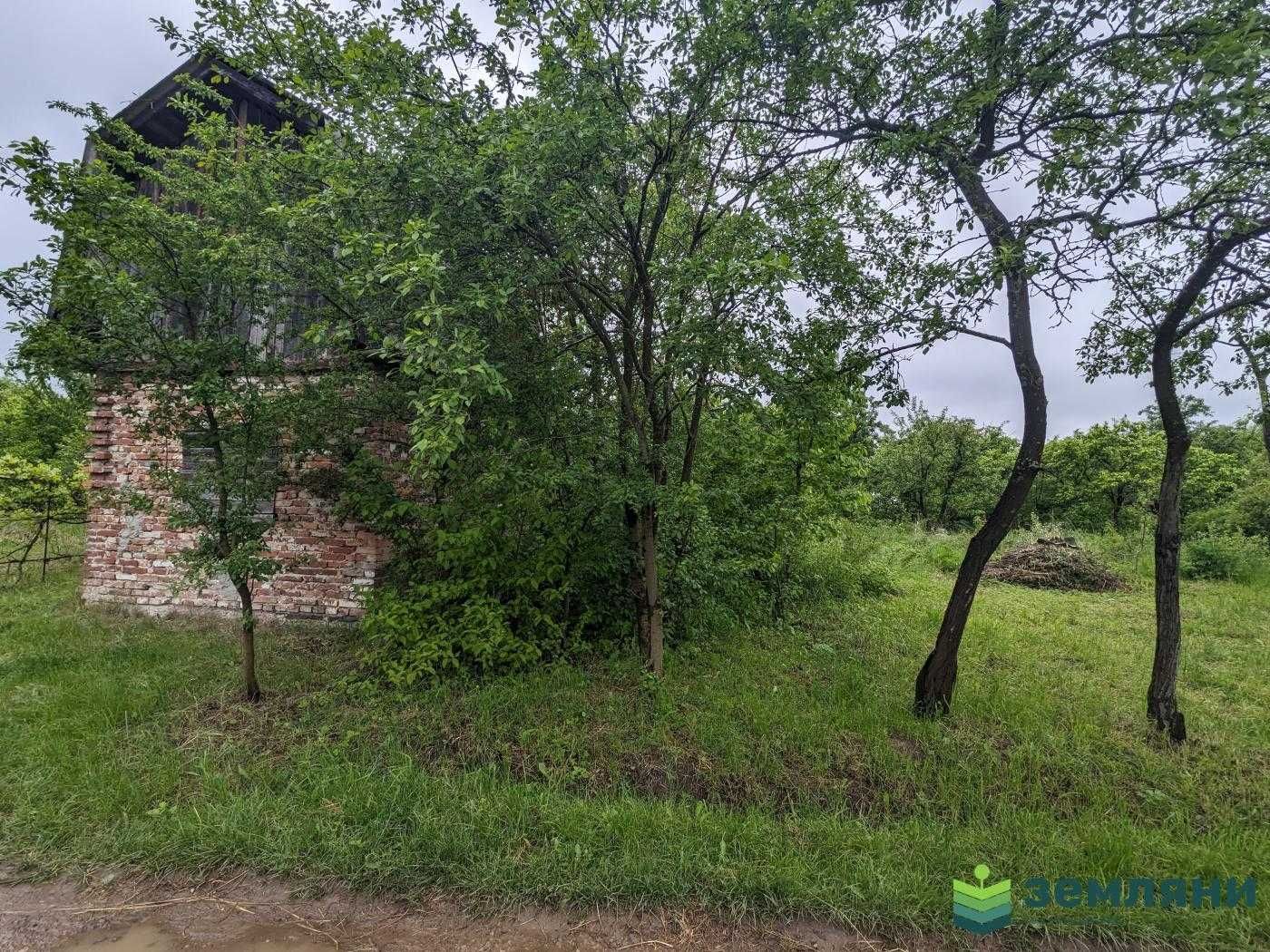 Продаж / Земля сільгосппризначення / СТ Житловик Павлівка