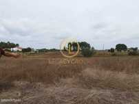 Terreno De 8250M2 Em Fazendas Da Arriça
