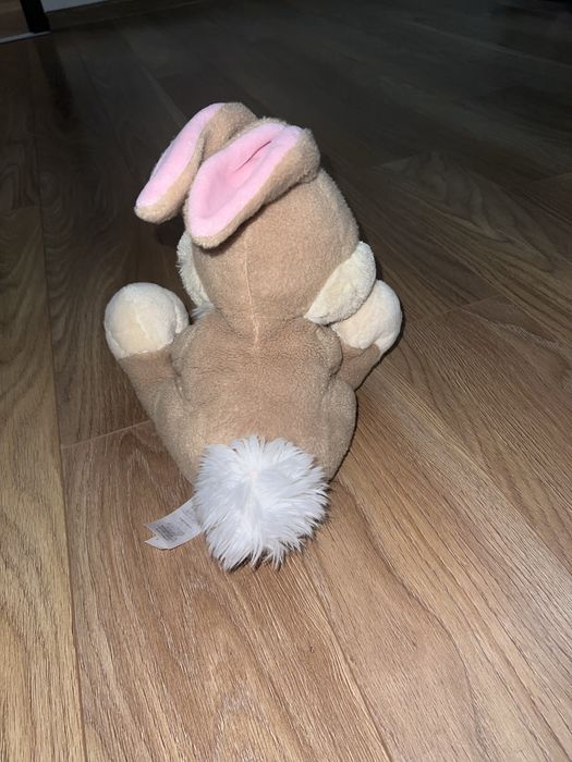 Tuptuś disneyland disney store