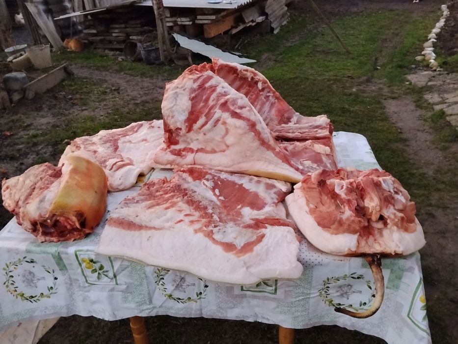 Сало мангалиці угорської