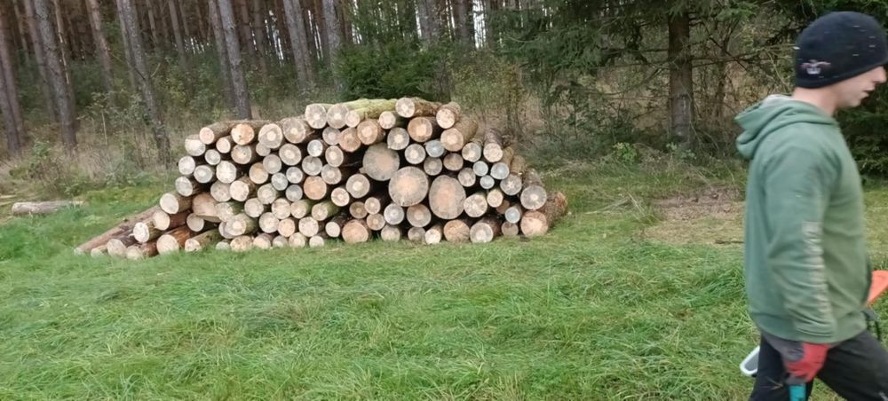 Sprzedam drewno opałowe sucha Sosna brzoza dąb buk