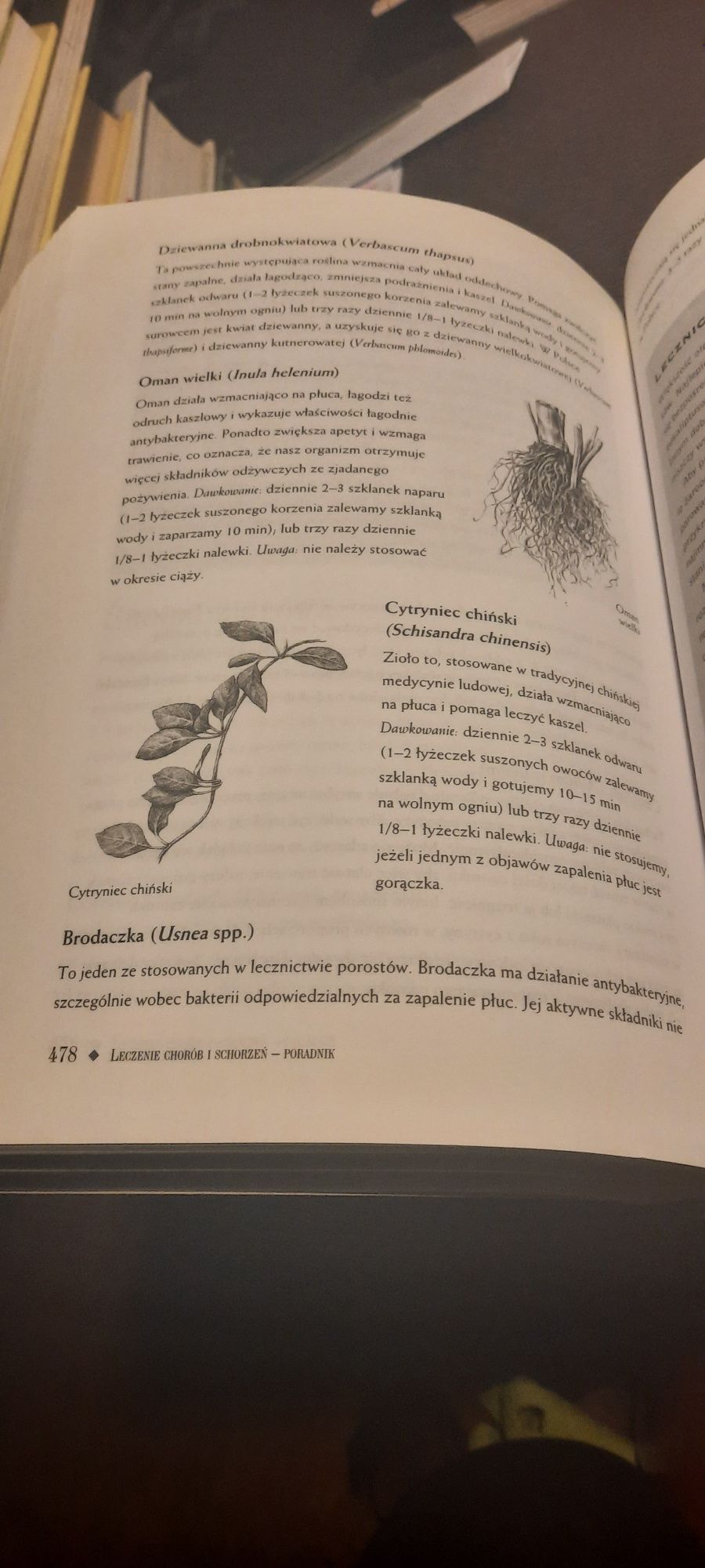 Księga zdrowia, ziołowa apteka domowa