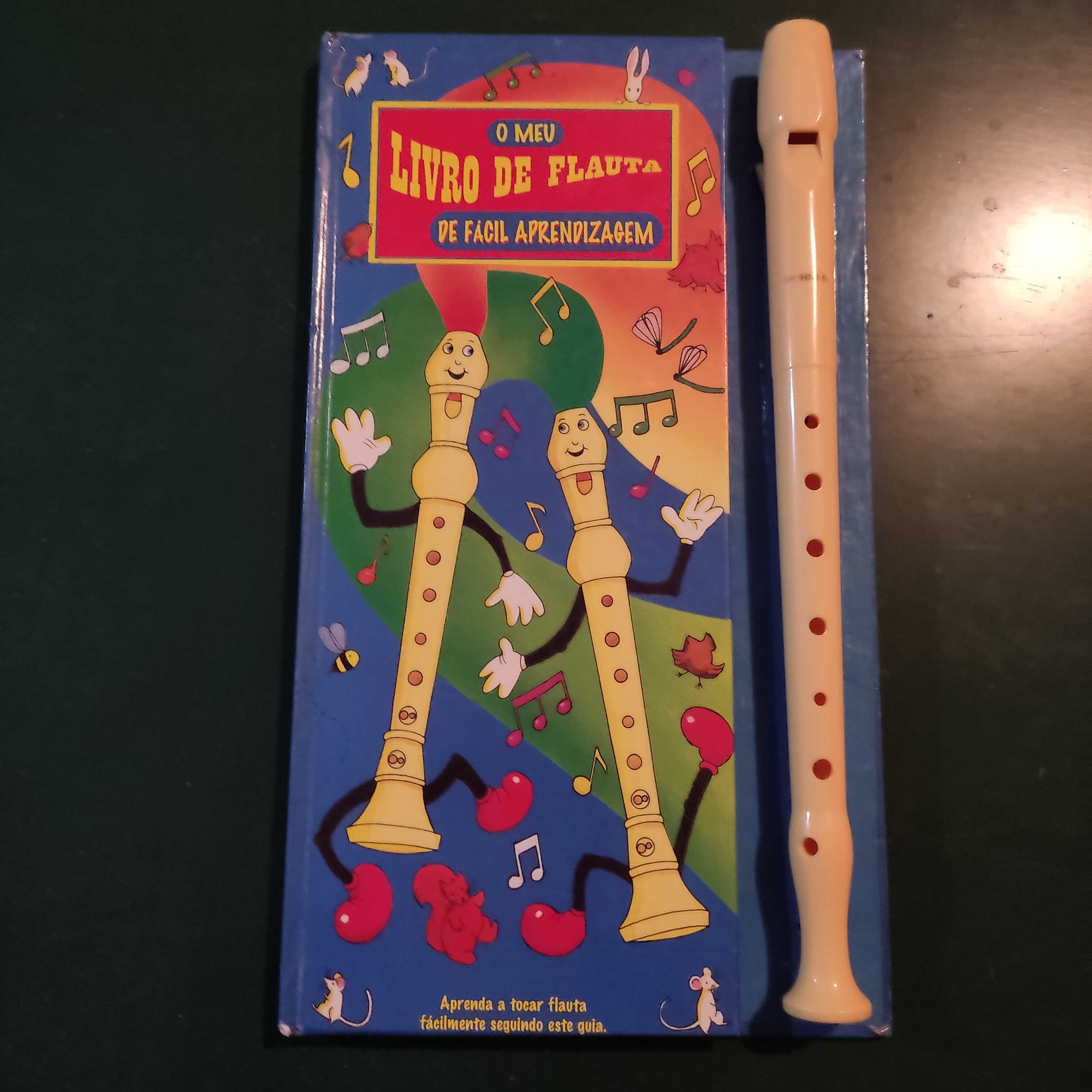 Flauta e livro de iniciação