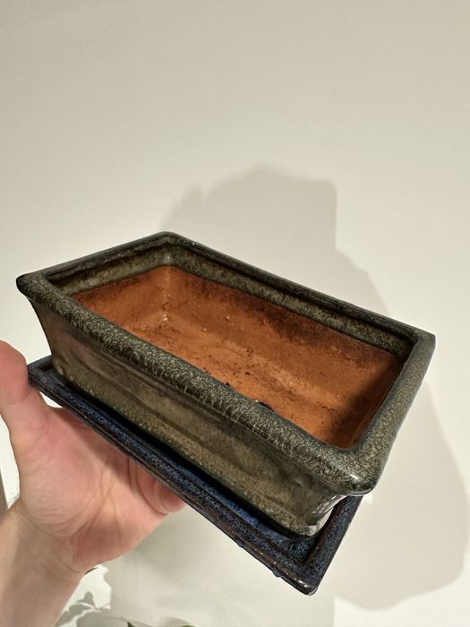 Горщик для бонсай, фікуса розміром 19x7x12