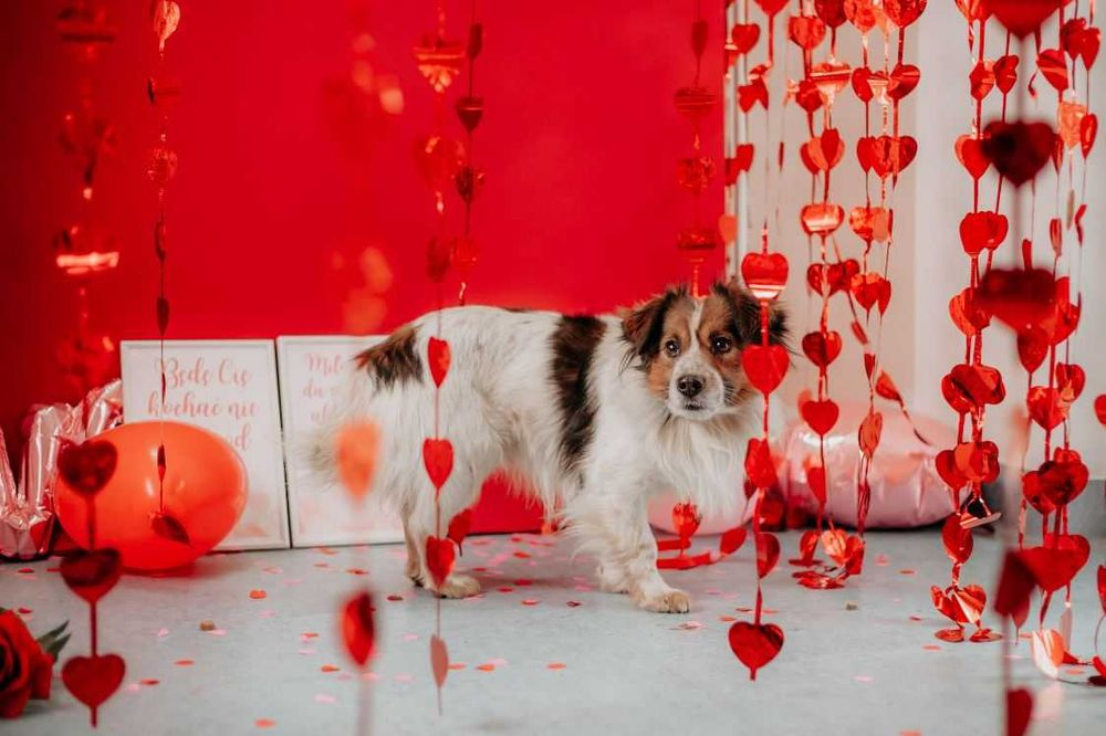 Delikatny, wrażliwy Fropek potrzebuje czasu i poczucia bezpieczeństwa