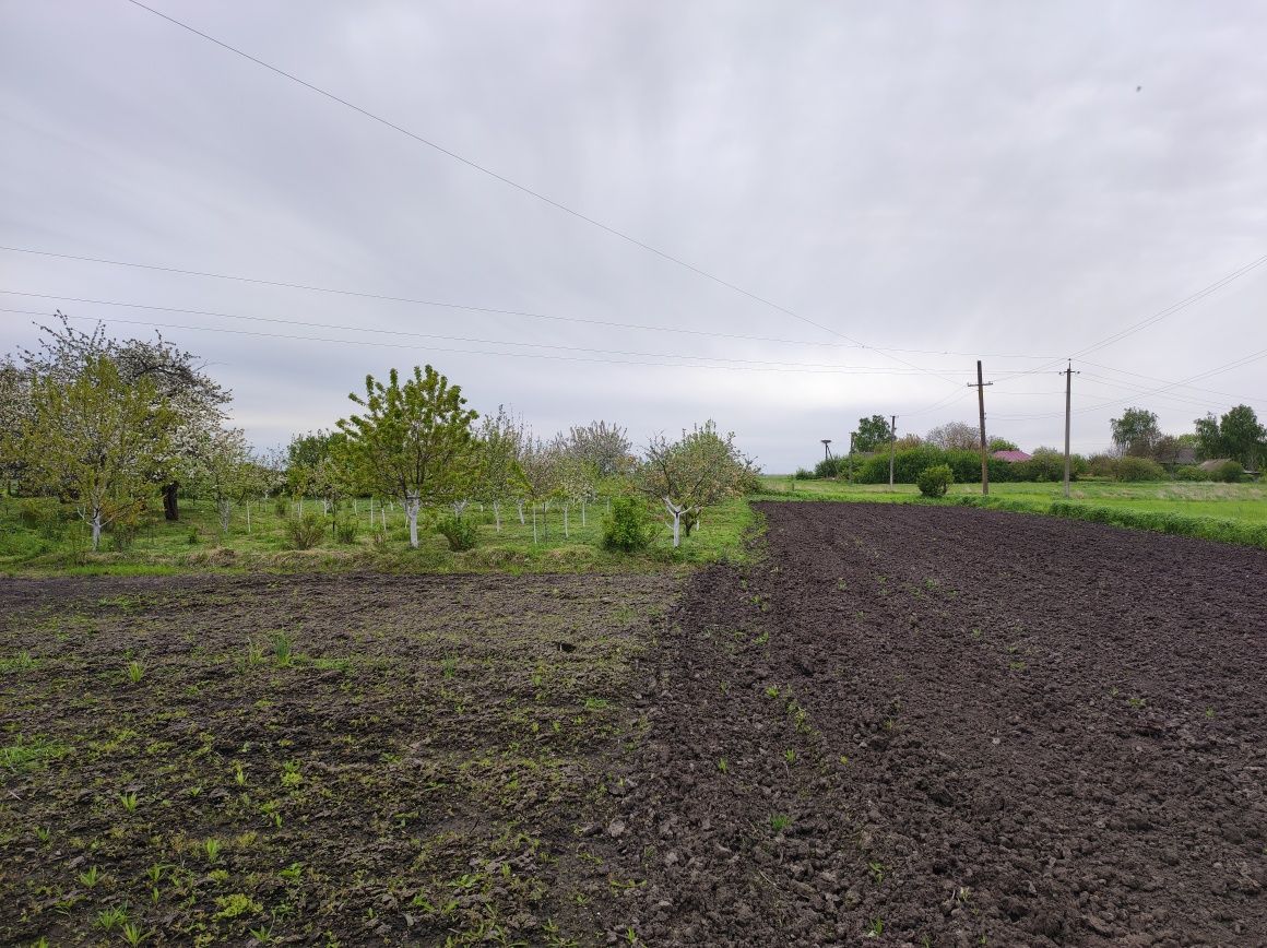 Продам будинок, с. Кладьківка, Ніжинський р-н, Чернігівській обл.