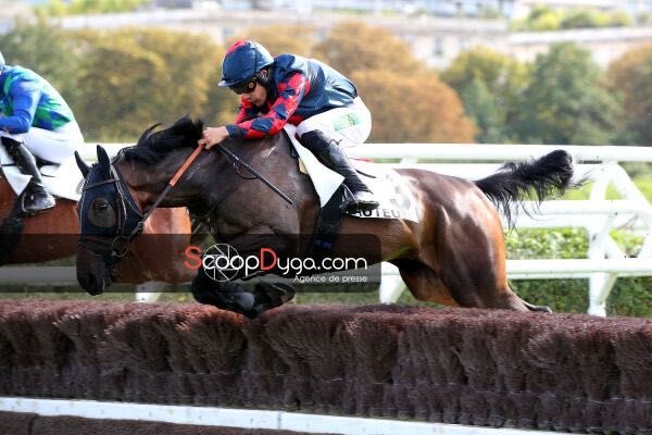 Cavalo grande super manso