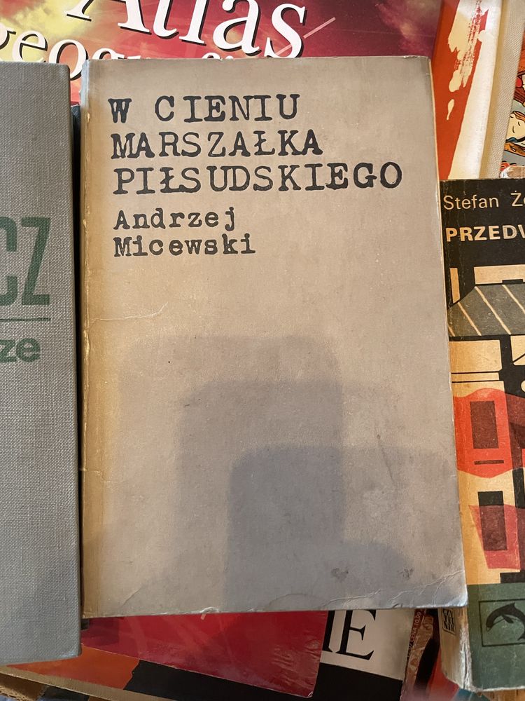 W cieniu marszałka Pilsudskiego