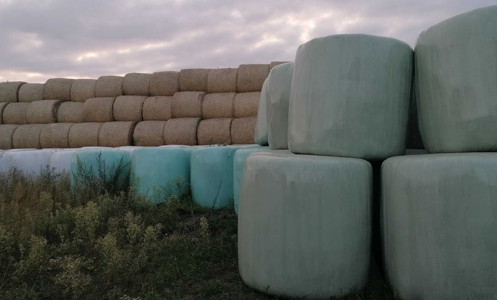 Sprzedam słomę w belach i sianokiszonkę