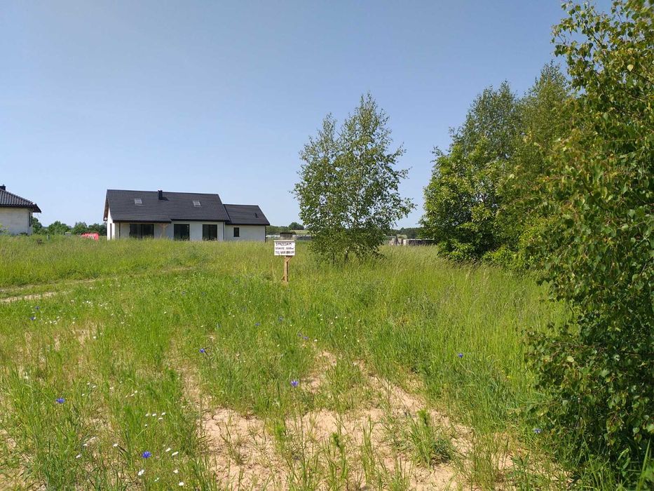 Działka budowlana 3000m2 Biskupin / Lipno