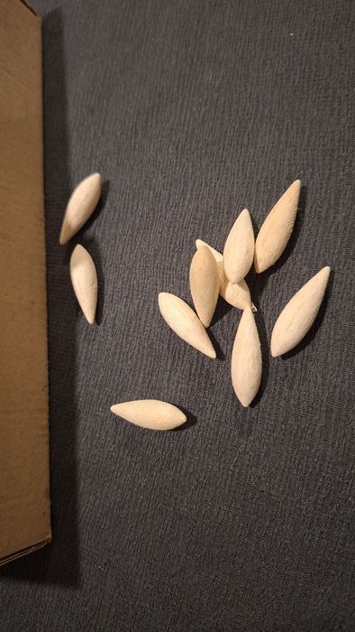 korpusy z balsy 50 szt