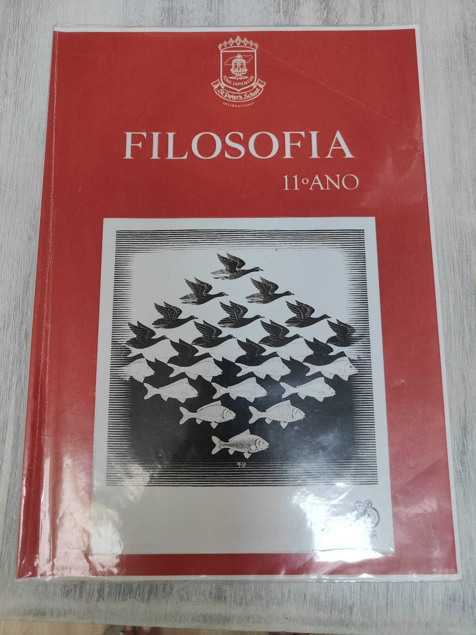 Filosofia 11º ano St Peters school