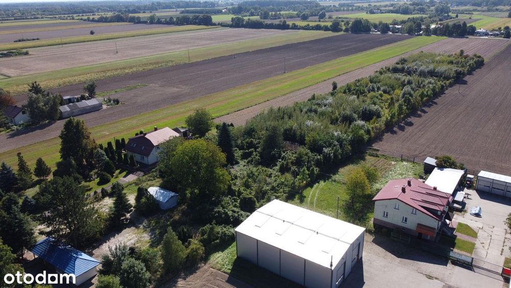 Działka 12 000 m² do wynajęcia – Sochaczew, ul. Poznańska FVAT OKAZJA!