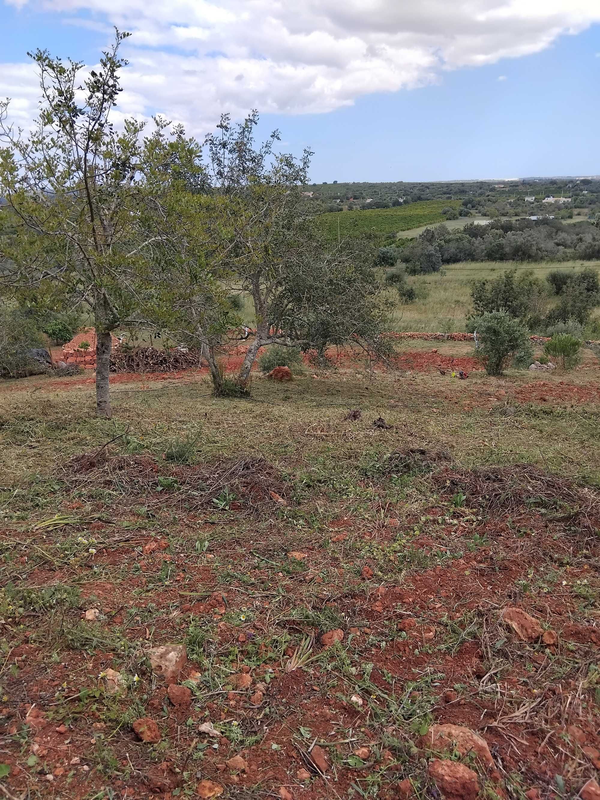 Limpeza de jardins, terrenos e afins