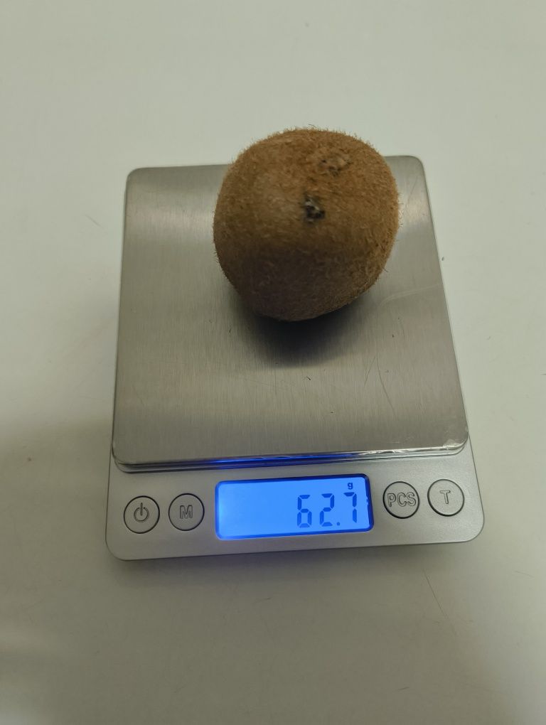 Balança de precisão
