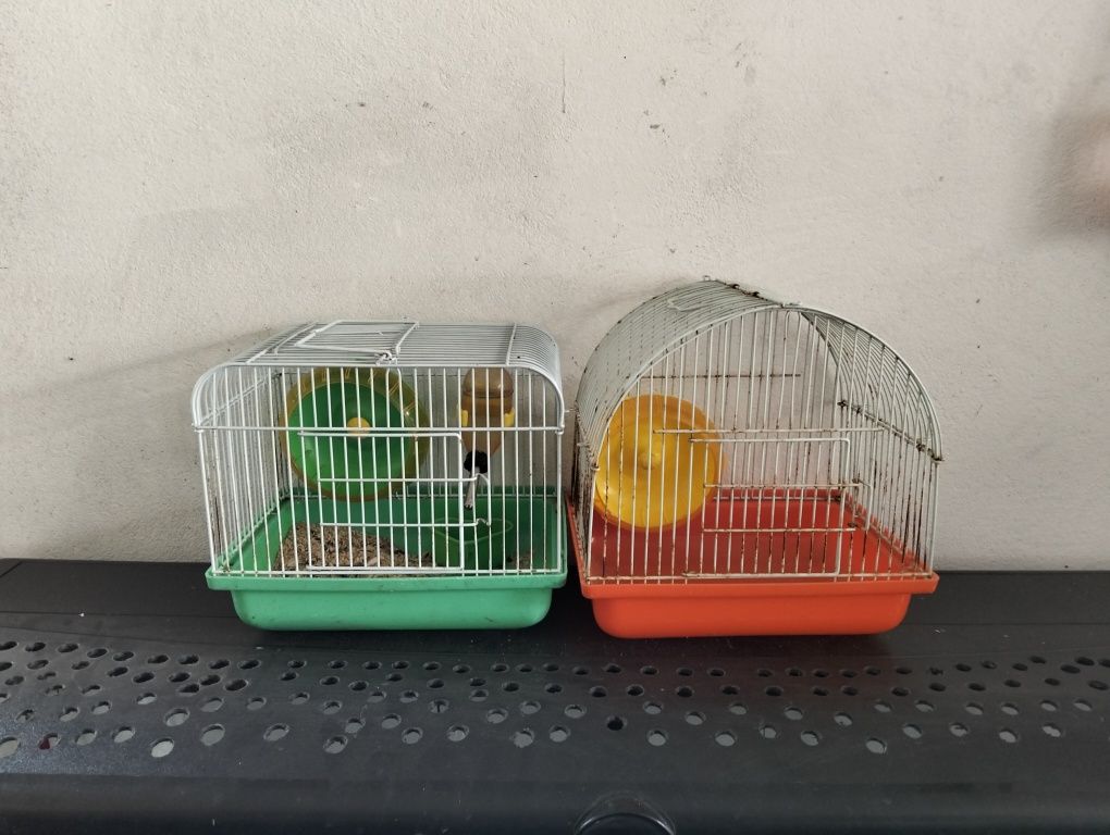 Hamster e gaiolas