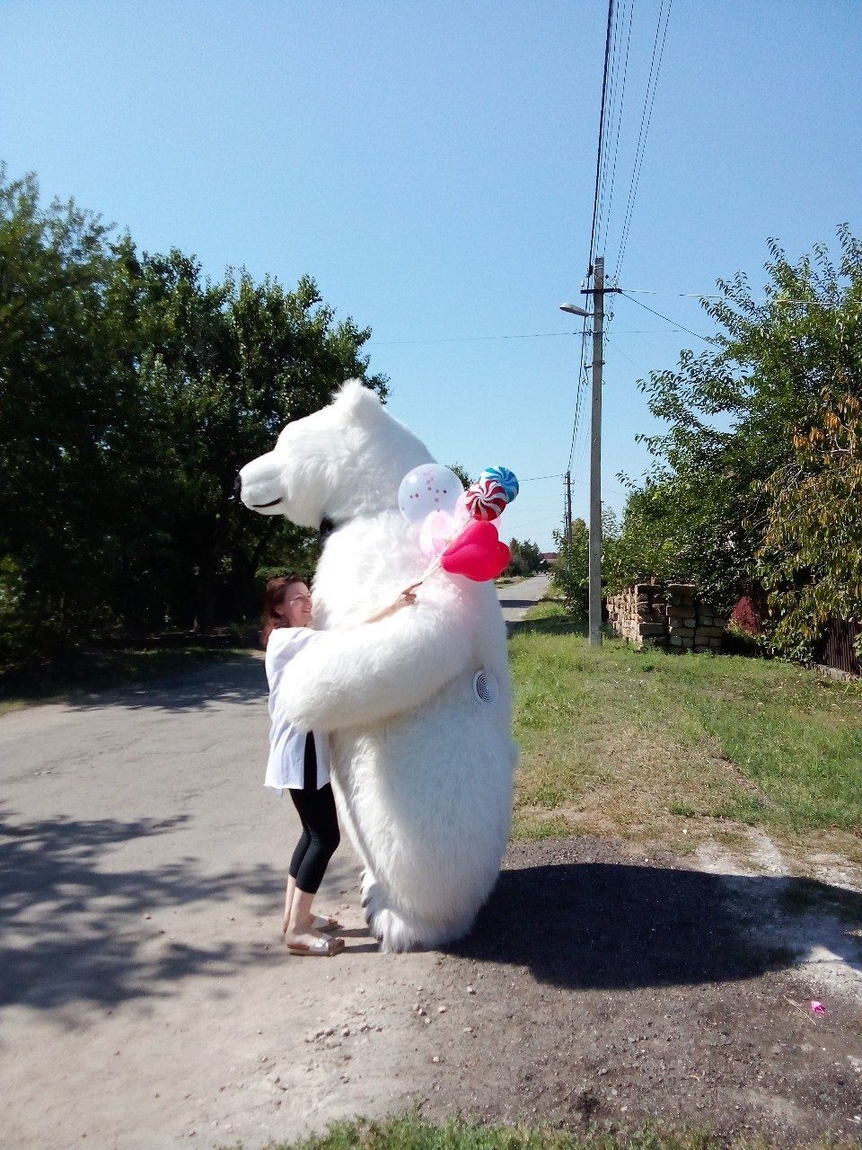 Весела Панда та Велетенський Ведмідь