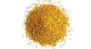 пилок бджолиний сушений