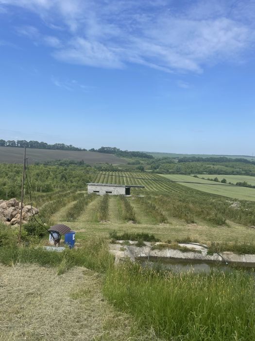 Продаж земельної ділянки з бізнесом 4 га