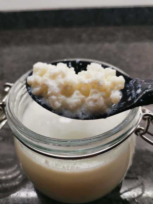 Kefir de Leite - Grãos Saudáveis + Instruções - 8€