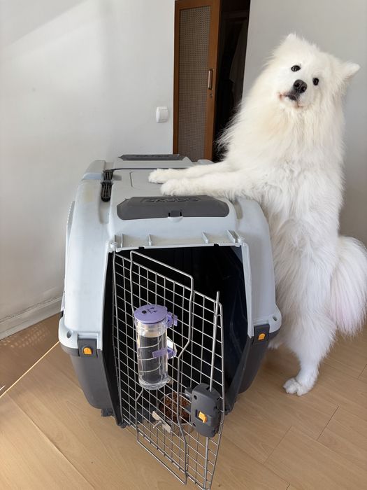 Transportadora Skudo Tamanho 7 – 105×73×76 cm – até 45 kg