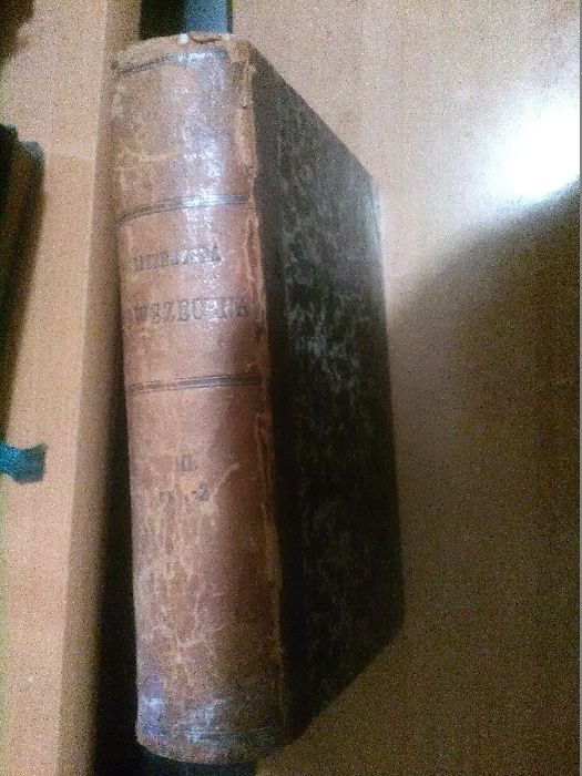 Dzieje Literatury Powszechnej z Ilustracyami,1 i 2-W-a 1891 psk