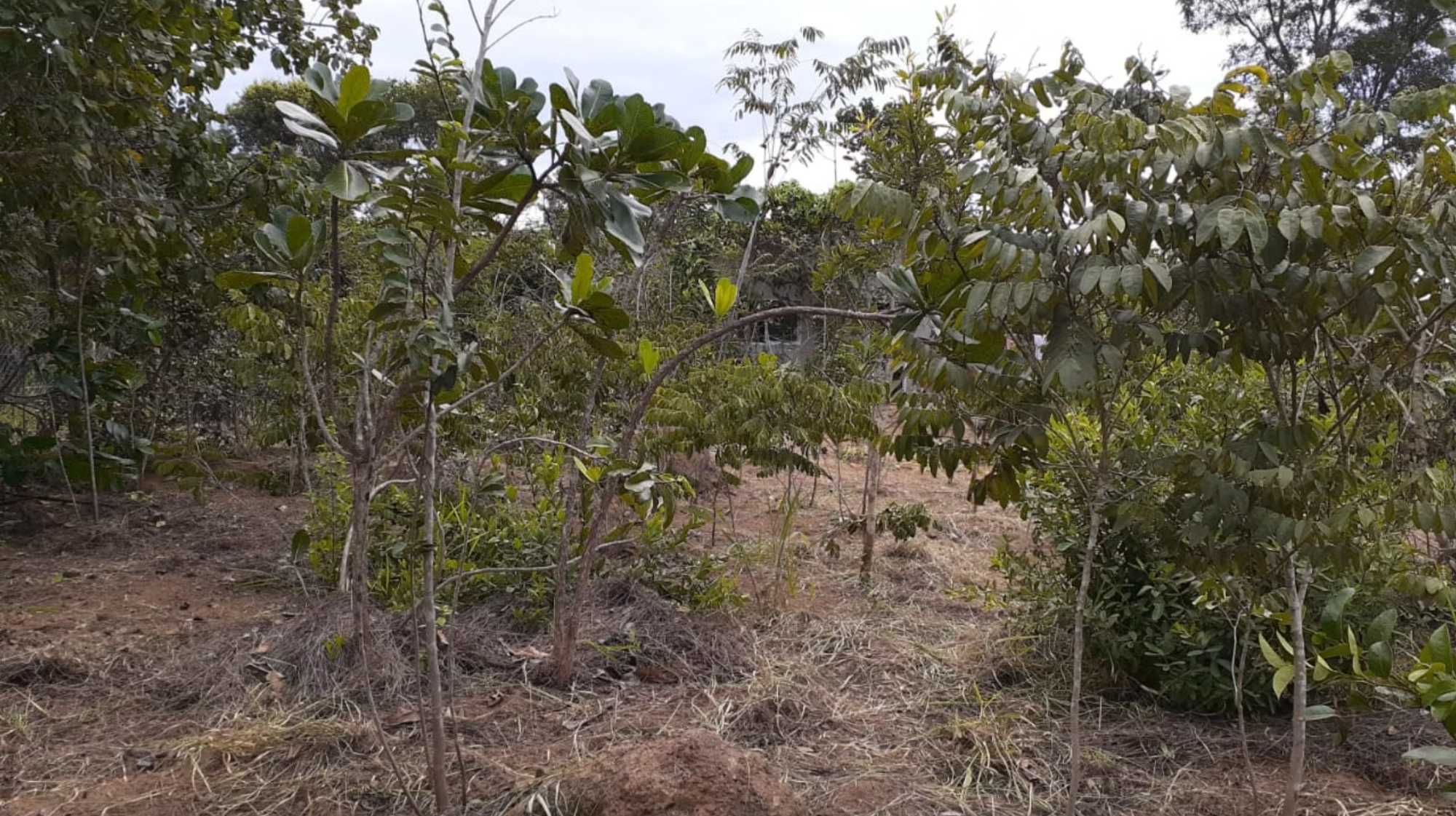 Casa em Cavalcante – Brazil, Goiás. 250km de Brasília. R$ 150.000
