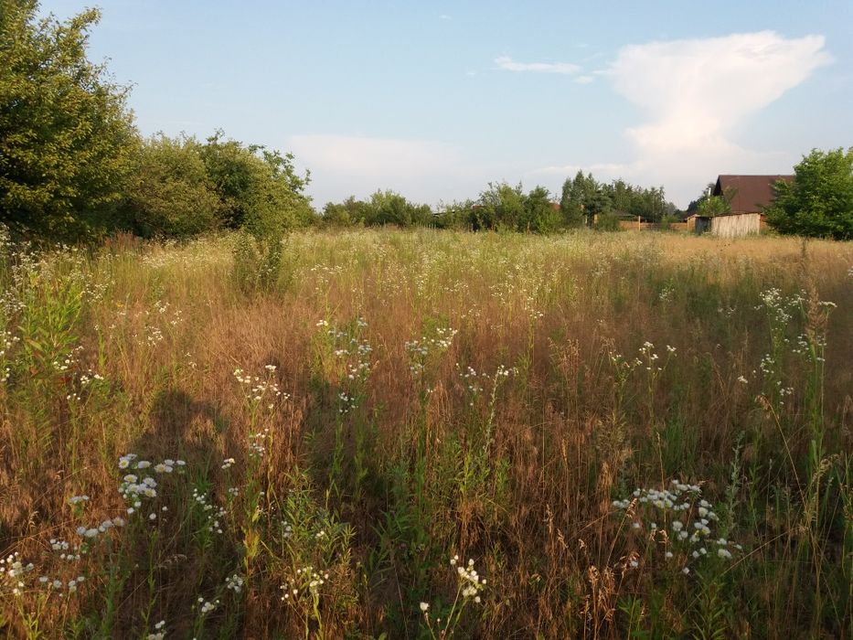 Продам участок  в Малой Даниловке  по очень выгодной цене.