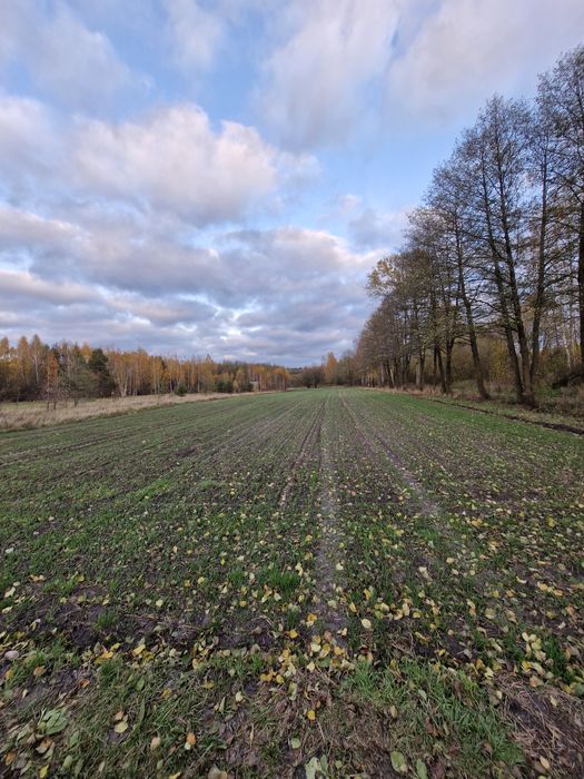 Działka rolna 0,36 ha – Wólka Miedzyńska / Nowa Wieś, gm. Sokołów Podl