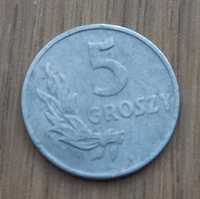 5 groszy 1949 r. Polska