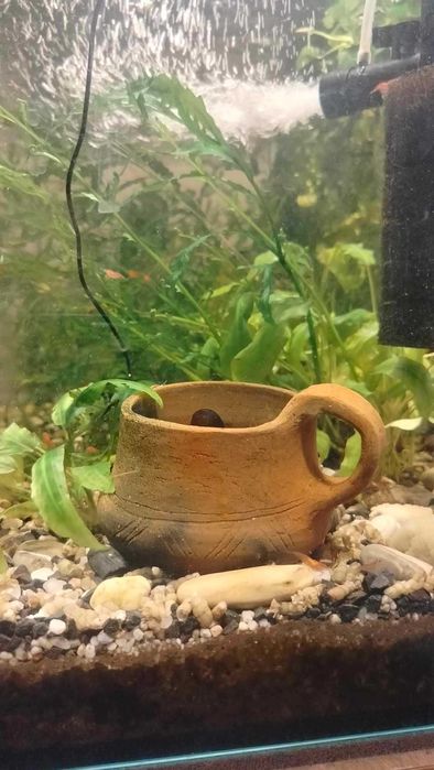 Akwarium proste 120L, Kolno.