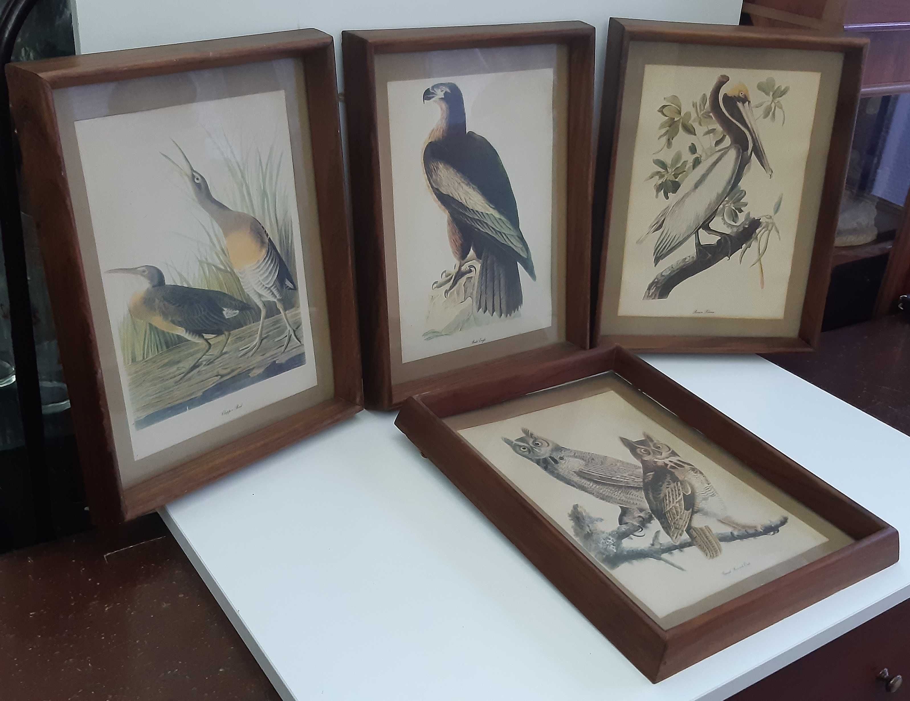 Retro Vintage Antigo 4 Quadros Molduras Madeira Lindas Gravuras Aves