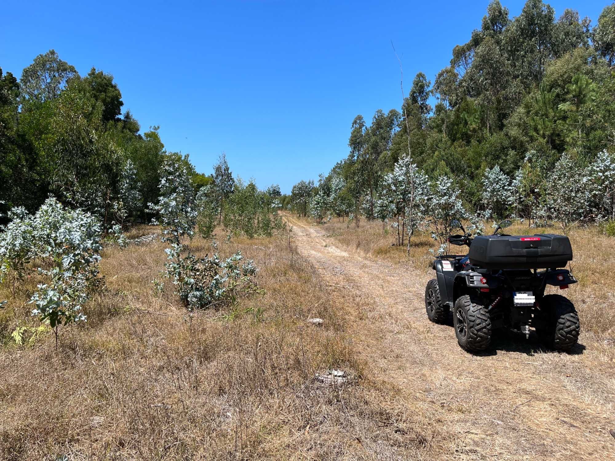 Linhai LH 550 Promax EFI 4x4 – Apenas 1.100 KM