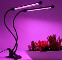 Фито-светильние для растений.