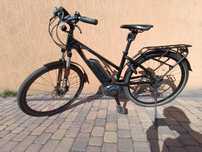 Rower e-bike Riese & müller