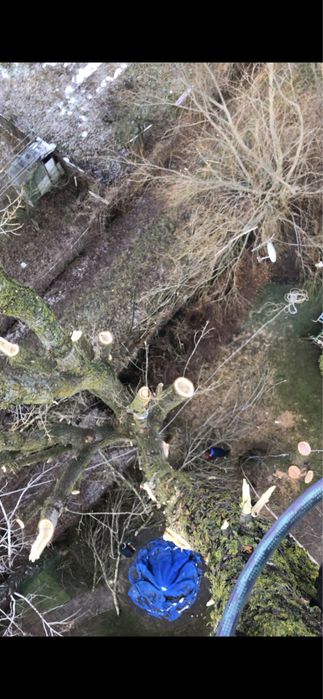 Професійна валка дерев зріз дерев кронація