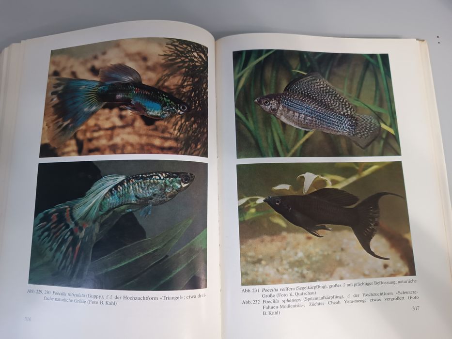 Каталог аквариумных рыбок. Гюнтер стерба 1971 год. Отпечатано в  ГДР