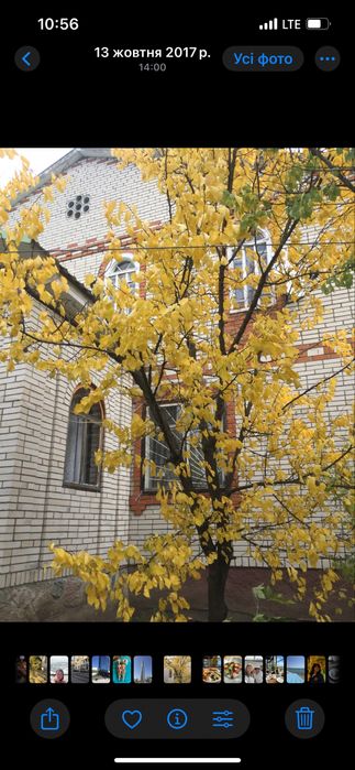 Здаю в оренду будинок