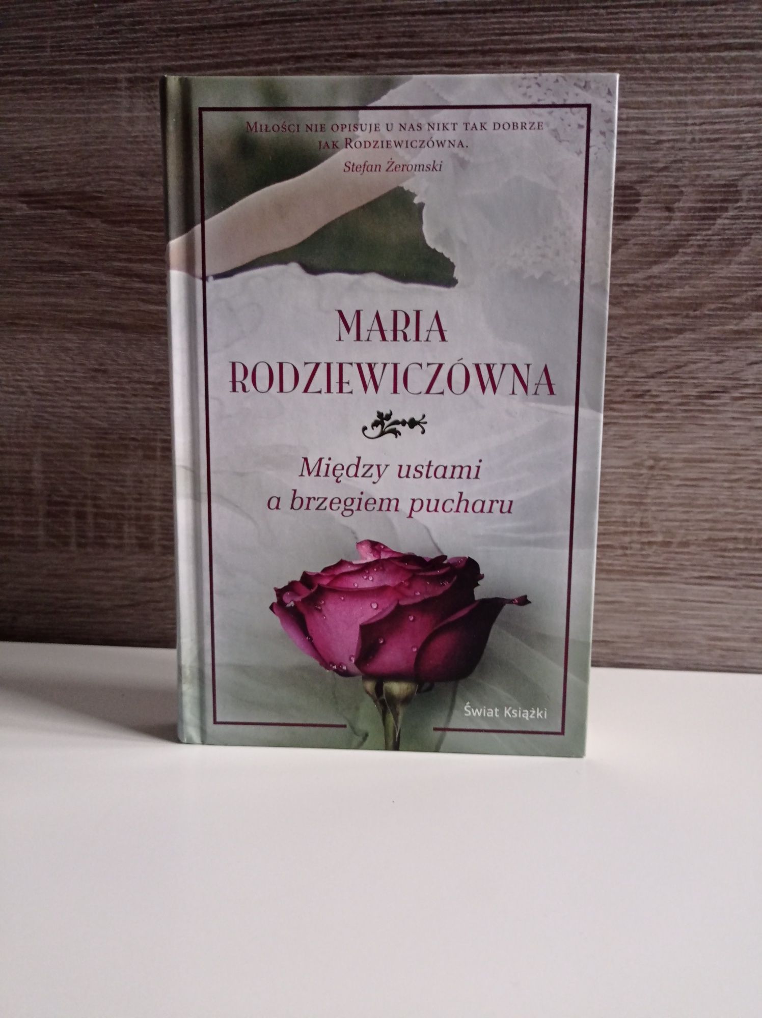 Maria Rodziewiczówna - Między ustami a brzegiem pucharu