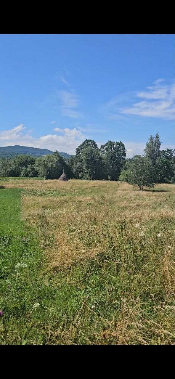 Земельні ділянки 1.87га в с.Стопчатів Косівський район
