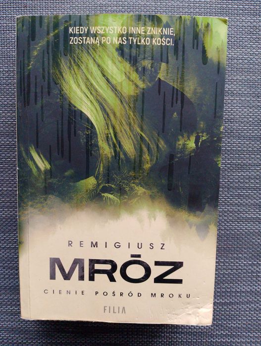 Remigiusz Mróz "Cienie pośród mroku"